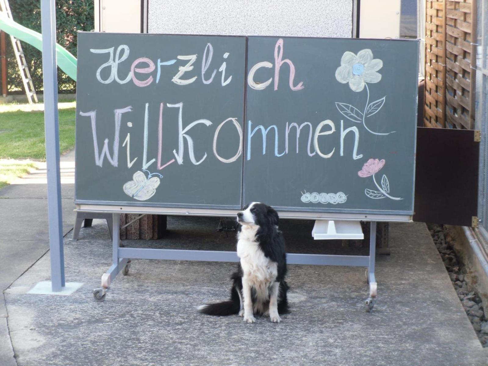 Ferienwohnwagen Rudolf Apartment คอสวิช ภายนอก รูปภาพ